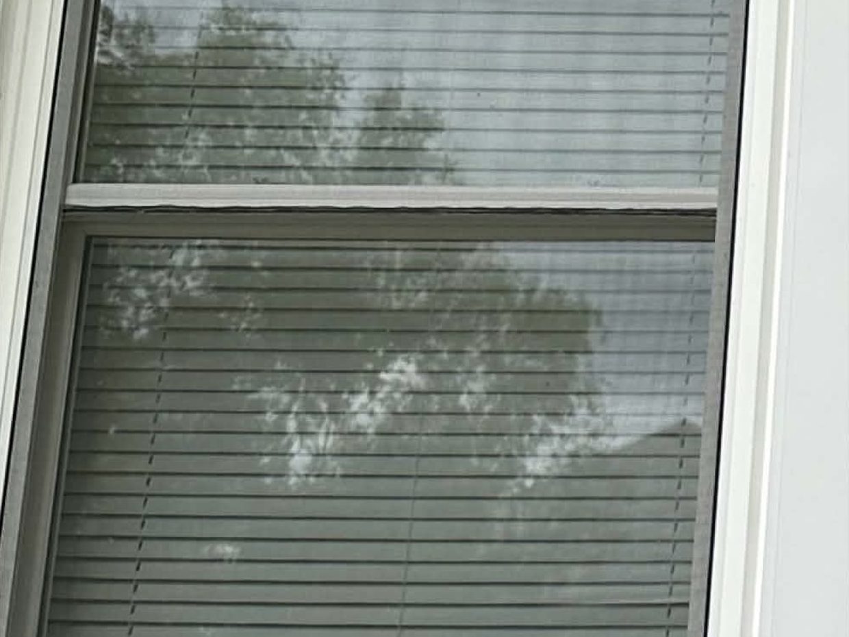 Window Cleaning — Vinton, VA before and after by Pro-Shine Softwash